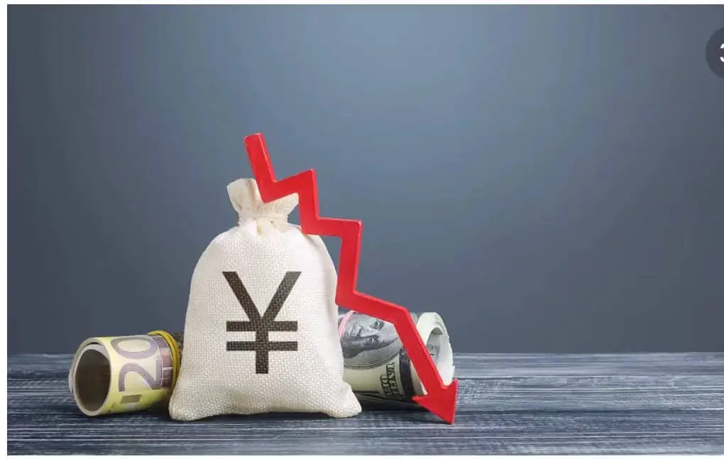 东欧产品的名称是什么
